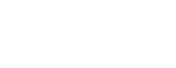 SRM Empírica